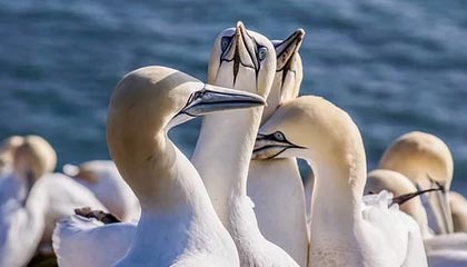 CBA-徐杰17+9萨林杰17+10 广东97-94力克广州