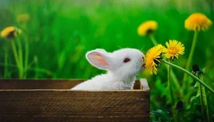 CBA-徐杰17+9萨林杰17+10 广东97-94力克广州